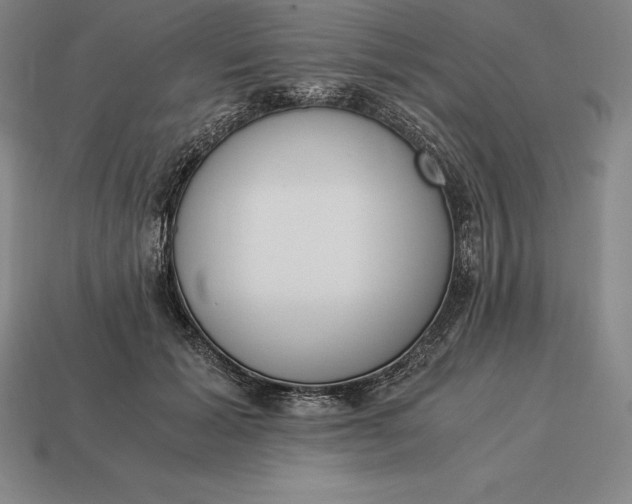 X0000113170605200909181833