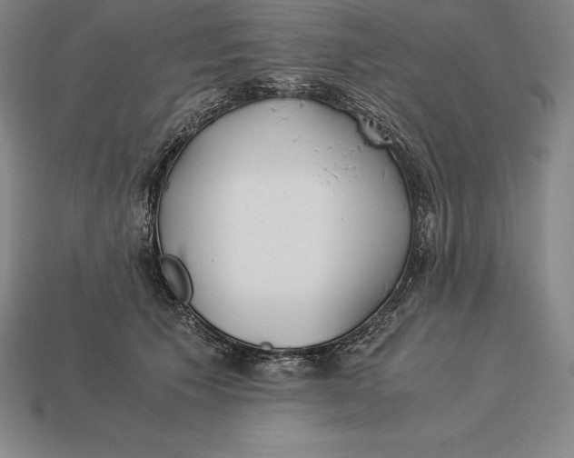 X0000113170609200909181833