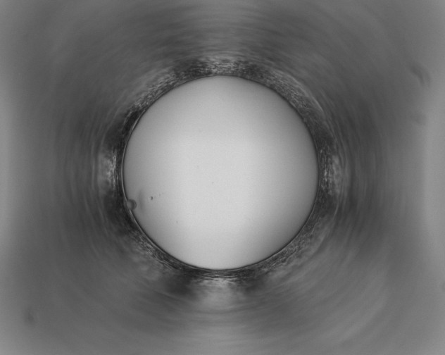 X0000113170610200909181833