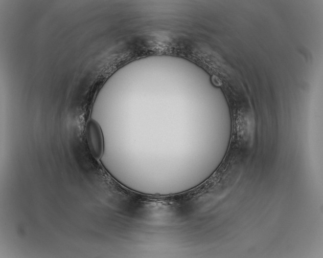 X0000113170611200909181833