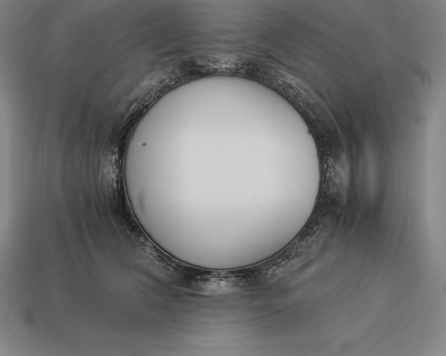 X0000113170612200909181833