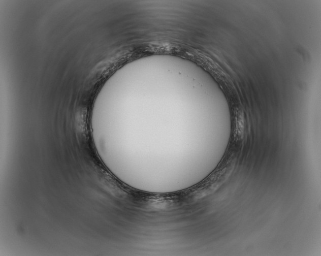 X0000113170616200909181833