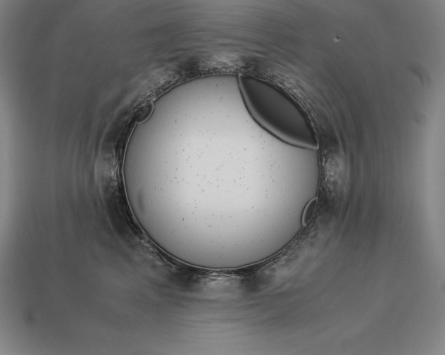 X0000113170617200909181833