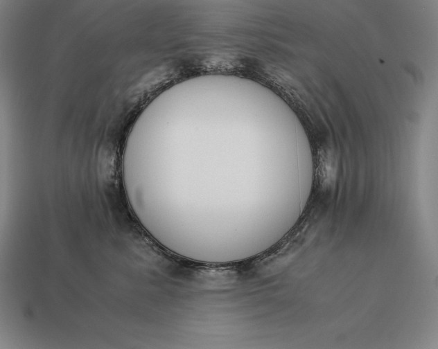 X0000113170619200909181833