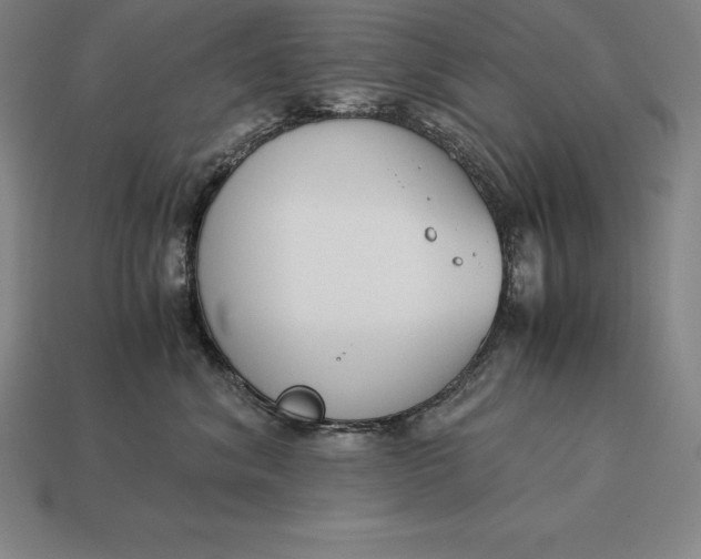 X0000113170620200909181833