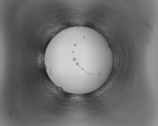 X0000113170624200909181833