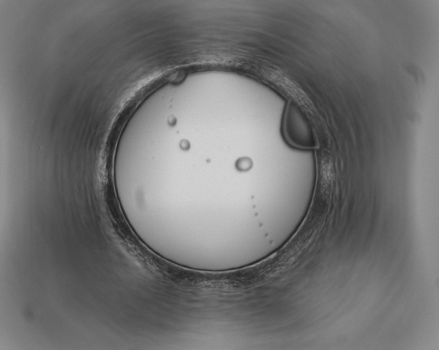 X0000113170628200909181832