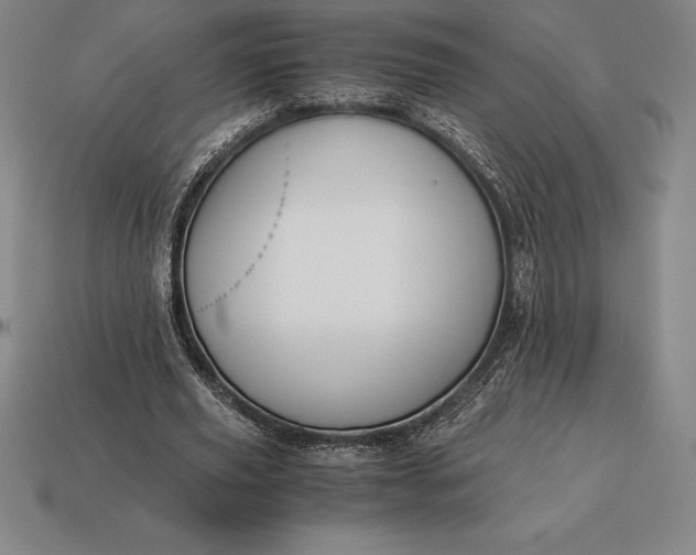 X0000113170629200909181832