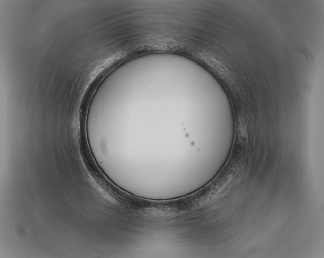 X0000113170630200909181832