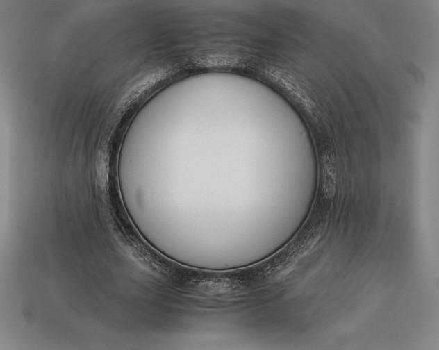 X0000113170631200909181832