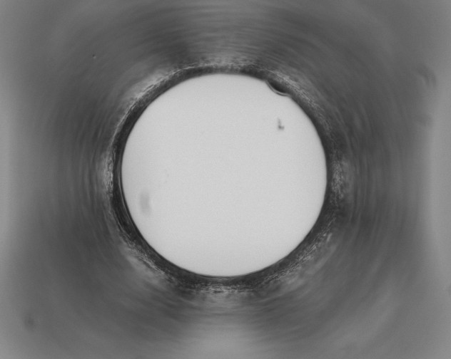 X0000113170632200909181832