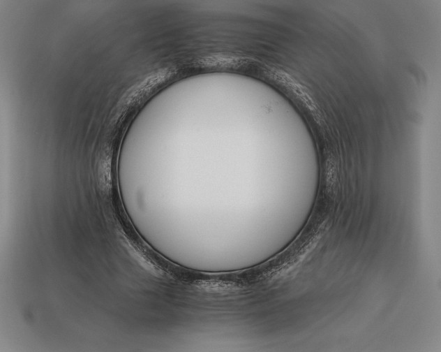 X0000113170633200909181832