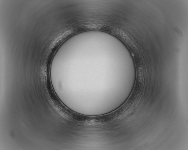 X0000113170634200909181832