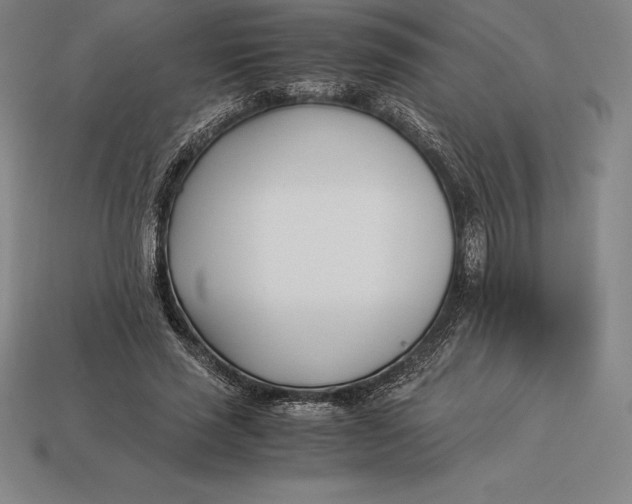 X0000113170637200909181832