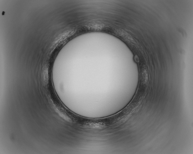 X0000113170638200909181832