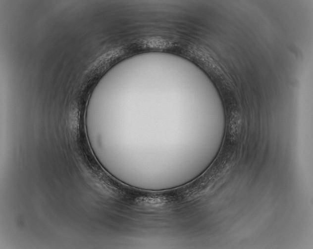 X0000113170639200909181832