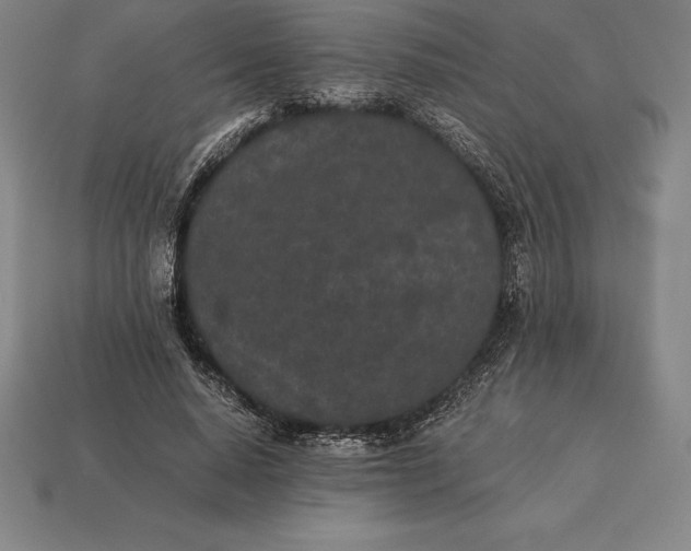 X0000113170640200909181832