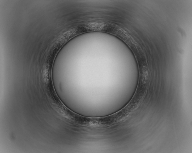 X0000113170641200909181832