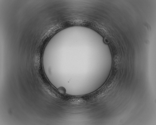 X0000113170642200909181832