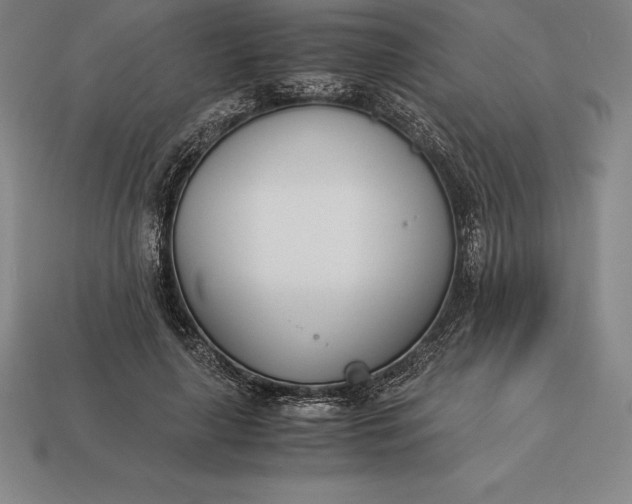 X0000113170643200909181832