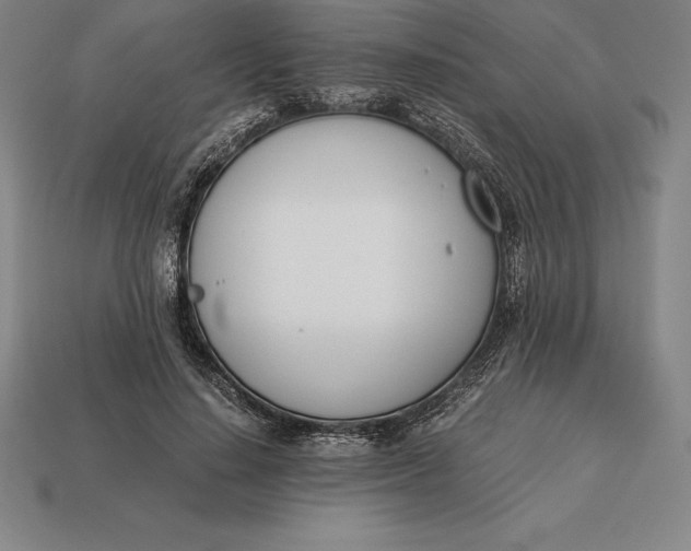 X0000113170644200909181832