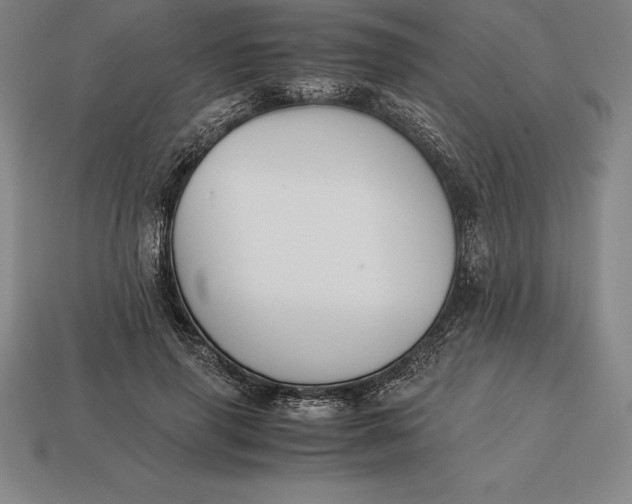 X0000113170645200909181832