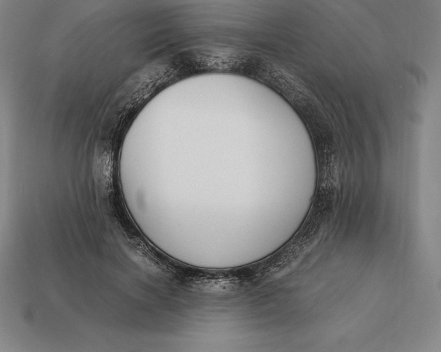 X0000113170646200909181833