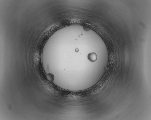 X0000113170648200909181833