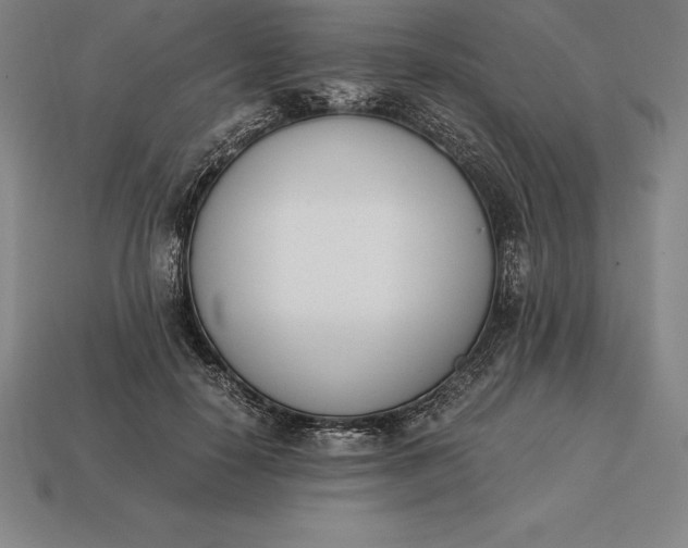 X0000113170650200909181833