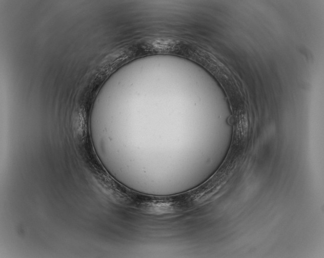 X0000113170651200909181833