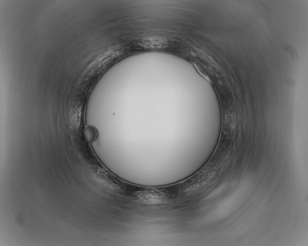 X0000113170652200909181833