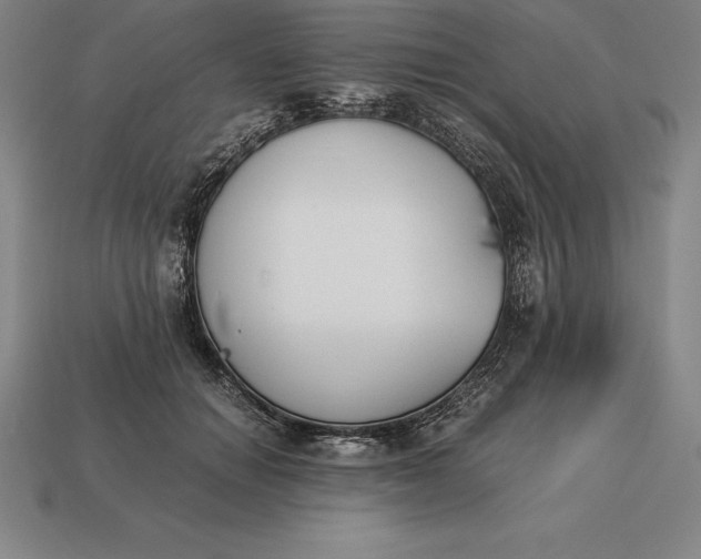 X0000113170654200909181833