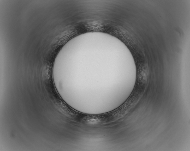 X0000113170658200909181833