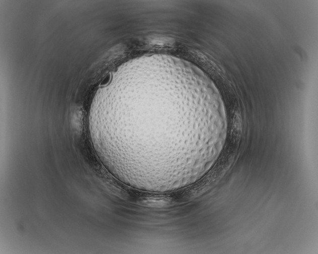 X0000113170659200909181833