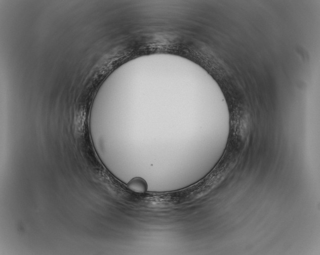 X0000113170660200909181833