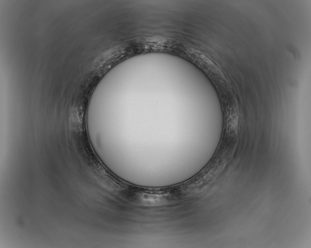 X0000113170661200909181833