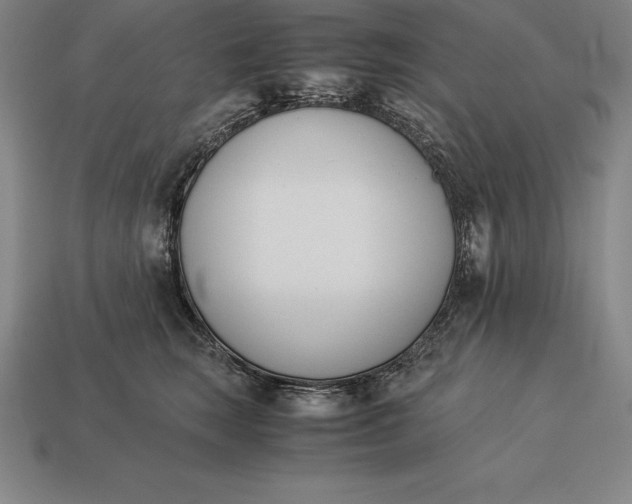 X0000113170663200909181833