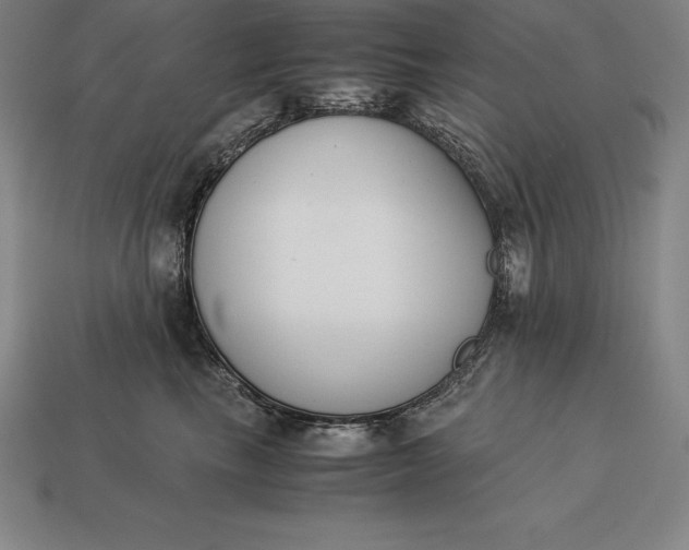 X0000113170665200909181833