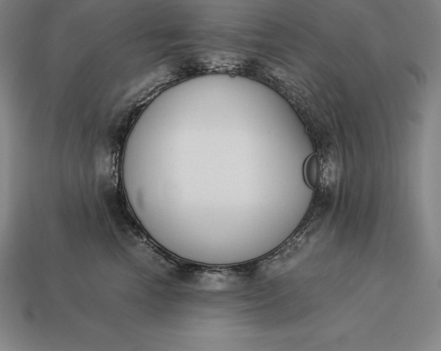 X0000113170666200909181833