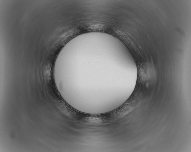 X0000113170668200909181833