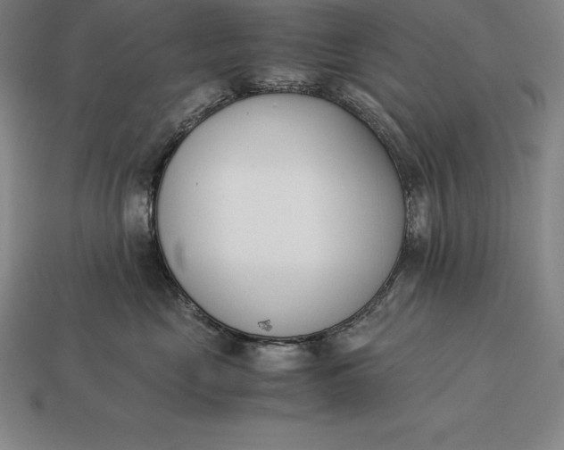 X0000113170669200909181833