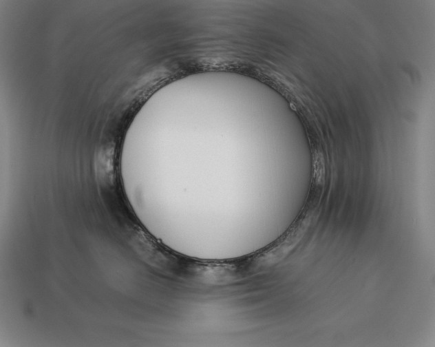 X0000113170670200909181833