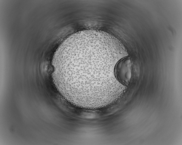 X0000113170671200909181833