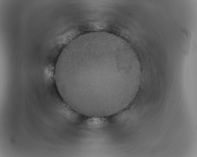 X0000113170672200909181833