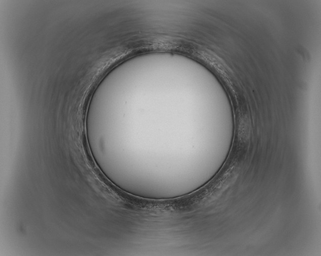 X0000113170673200909181832