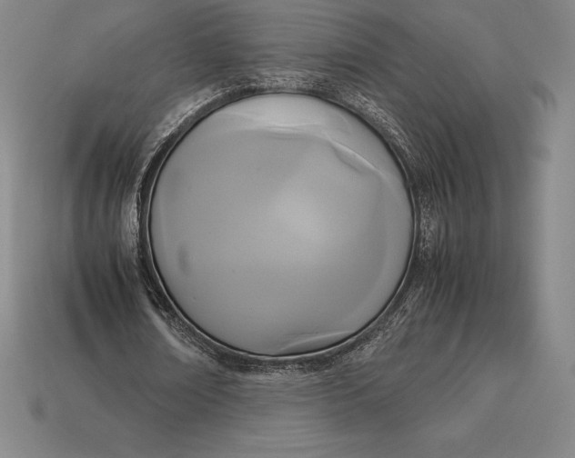 X0000113170674200909181832