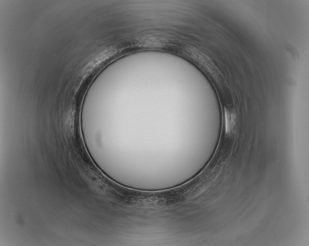 X0000113170675200909181832