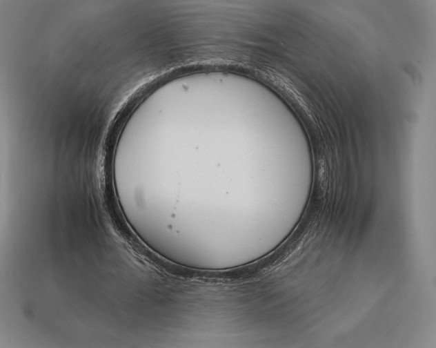 X0000113170676200909181832