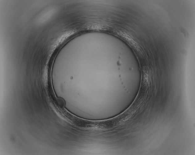 X0000113170678200909181832