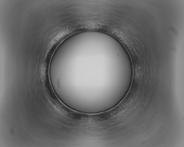 X0000113170679200909181832